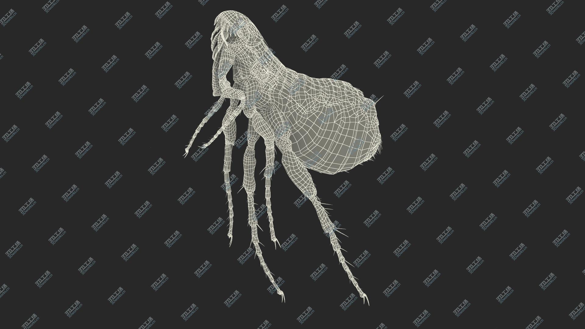 images/goods_img/202104093/Flea Jumping Pose 3D/3.jpg